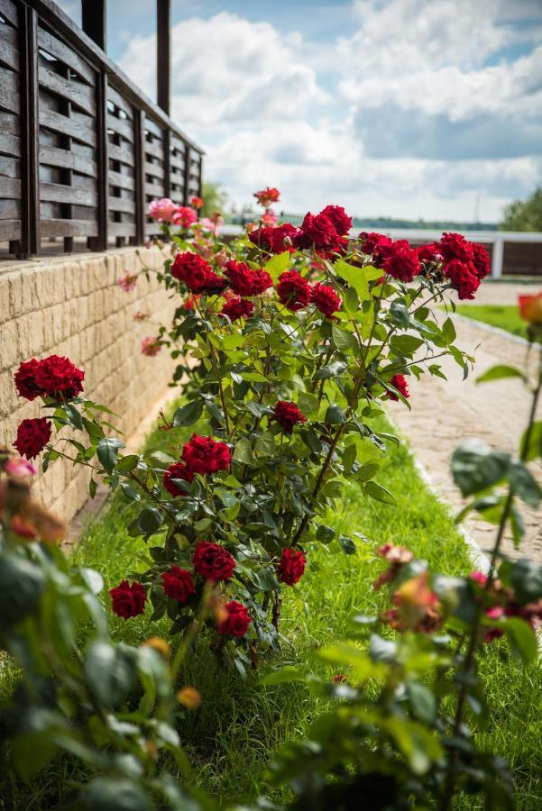 Pensiunea Danubiu Муругіль Екстер'єр фото